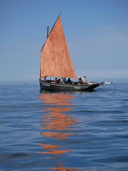 Photograph of A sinagot sailing ship with a tanned orange sail reflecting against the azure sea.