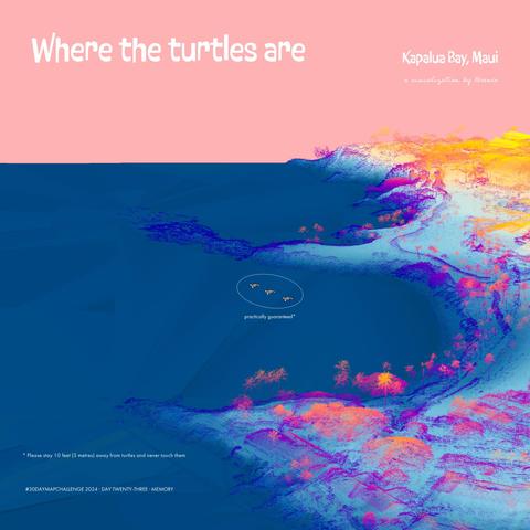 A visualisation of Kapalua Bay, Maui, showing where one can see turtles