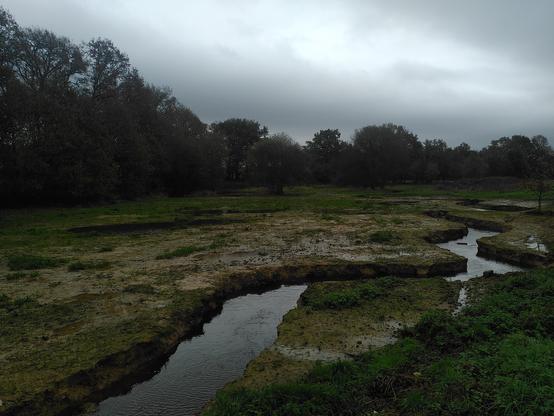 Les nouvelles méandres du Fresnaye dans la zone humide.