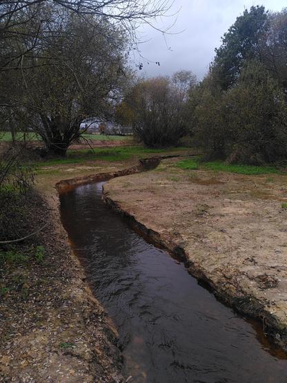 Les nouvelles berges du ruisseau.