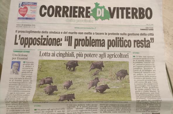 Corriere di viterbo, foto di cinghiali che corrono su un prato verde in prima pagina con titolo "lotta ai cinghiali, più potere agli agricoltori". 
Titolo di testa recita "l'opposizione:  il problema politico resta"