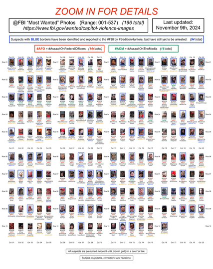 Poster of the 196 January 6th riot suspects still wanted by the FBI (Version: November 9, 2024).