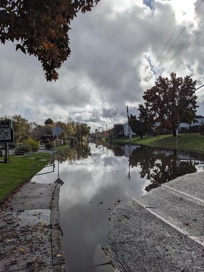 The cloudy sky reflected in a flooded street   greenery is happy for the deluges.