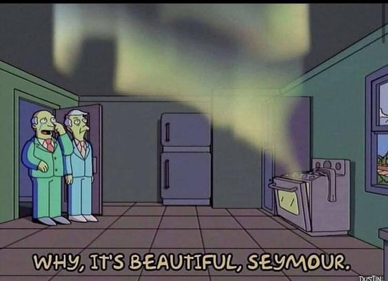 Skinner and Chalmers from The Simpsons looking at the aurora borealis localized entirely within Skinner's kitchen coming from the oven. Chalmers sheds a tear and says "Why, it's beautiful, Seymour."