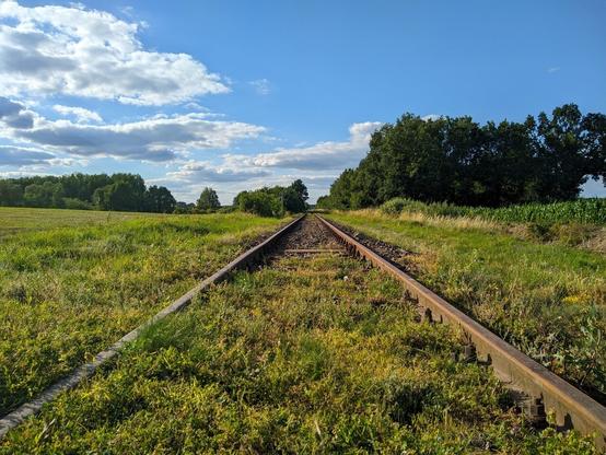 Tory kolejowe biegnące do centralnego punktu zdjęcia. Dookoła zielone krzewy i pola.