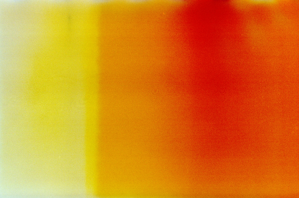 Fields of colour: the left third are yellows, shifting, almost abruptly, to oranges that deepen to a patch of red.