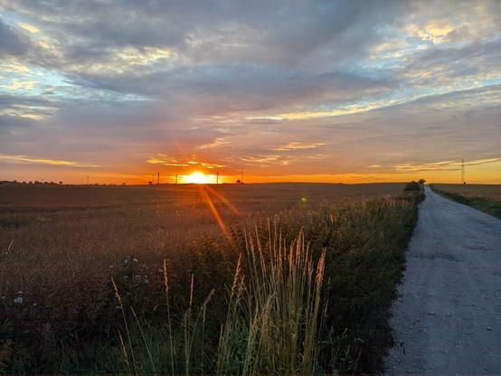Szutrowa droga przez pola. Nad polem po lewej wschodzi słońce.
