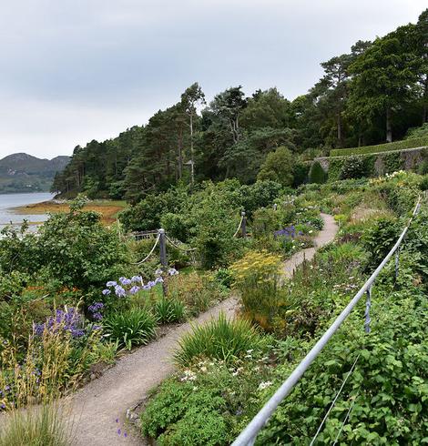 Today's 'Where in Scotland' image. It is a square image showing a curving formal garden that rises to a wall at the right and descends to a shoreline at the left. There is a path leading in a curve to the left through the vegetation and there are trees in the background, plus a glimpse of a hilly shore in the mid left of the frame. The light is grey.