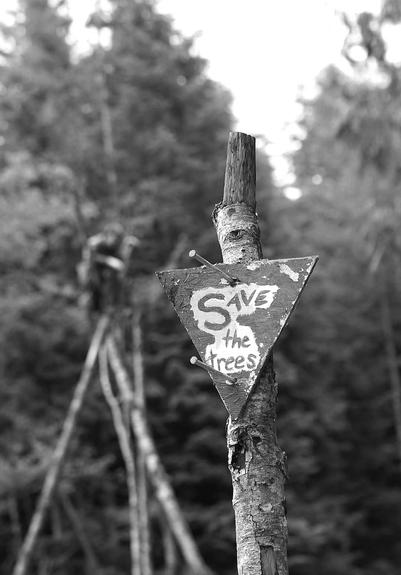 A weathered triangular sign nailed to a tree stump reads "Save the trees!" The sign is surrounded by a blurred forest background, indicating a wooded area. The scene evokes a message of environmental conservation.
A treesitter activist is up in trees in background.
Black and white photo.