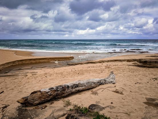 A piece of driftwood lies on a dramatic and cloudy Pennington Beach, KwaZulu-Natal, South Africa.