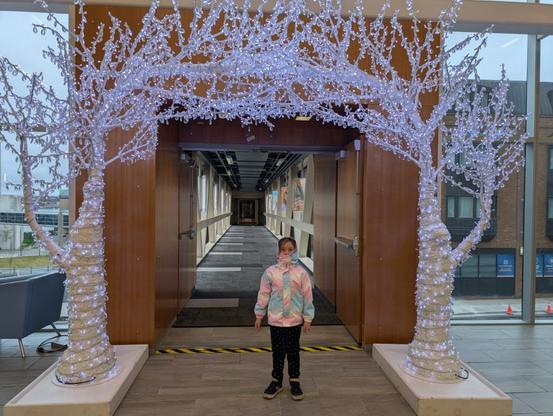 A child stands by an archway of lights connecting two white trees in front of a pedway.