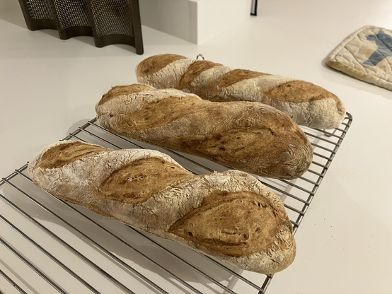 Three bread loaves drying on a rack after baking, on a white kitchen countertop. Behind, hints of the mould used for the baguettes and the mitten to pull it out of the oven. In the modern world there’s a deep supply chain behind it, not the backbreaking work of family members in the land of our ancestors.