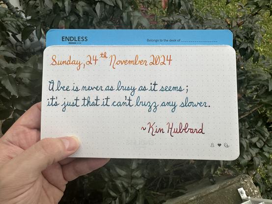A pen quote of Kin Hubbard that reads, “A bee is never as busy as it seems; it’s just that it can't buzz any slower.”

Written in Noodler’s Apache Sunset, Pilot Iroshizuku Ku-Jaku & Dominant Industry Ginger Chicken.
