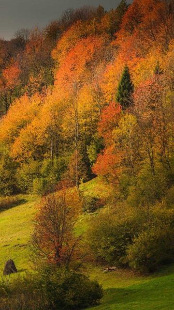 Autumn