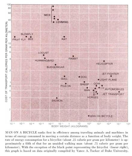 A graph titled "Cost of Transport" showing the relationship between body weight (in kilograms) and energy consumption for distance traveled (calories per gram per kilometer) for various animals and machines. It highlights that a person on a bicycle ranks first in efficiency.