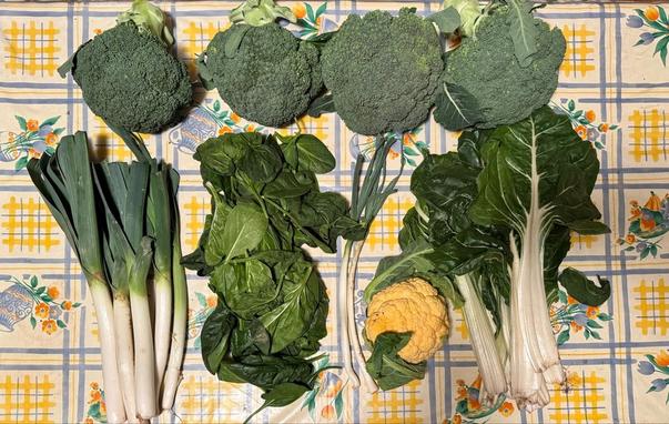 Foto "a vista de dron" del contenido de la cesta de la semana sobre una mesa con hule.
En la parte superior, cuatro brócolis.
Debajo, de izquierda a derecha, puerros, espinacas, cebolletas, una coliflor naranja, y acelgas verdes.