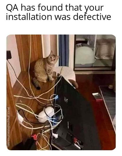 Photo of a cat looking at the camera after knocking a TV onto the floor.

Caption: QA has found that your installation was defective