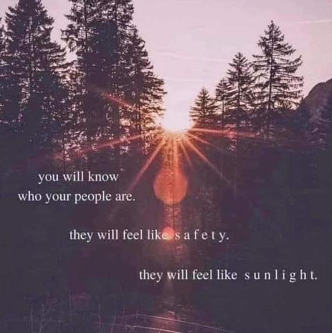 Photograph of trees at sunset, last sunbeams shining through them.

Text reads:
"You will know who your people are. 
They will feel like safety. 
They will feel like sunlight."