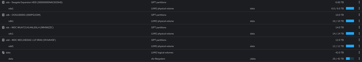 screenshot showing the 4 hard drives and the logical volume they create.