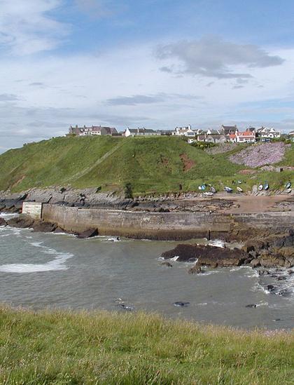 Today's 'Where in Scotland' image. It is a vertical image showing a view across a bay and harbour. There’s grass in the foreground that descends to the sea. On the far side of the bay is a large harbour wall with boats pulled up on a grassy slope on its far side. In the distance, at the top of the slope, is a line of largely white cottages and houses.