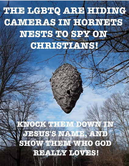 Picture of large hornets nest.
Caption: THE LGBTQ ARE HIDING CAMERAS IN HORNETS
NESTS TO SPY ON CHRISTIANS!
KNOCK THEM DOWN IN JESUS S NAME, AND SHOW THEM WHO GOD REALLY LOVES!