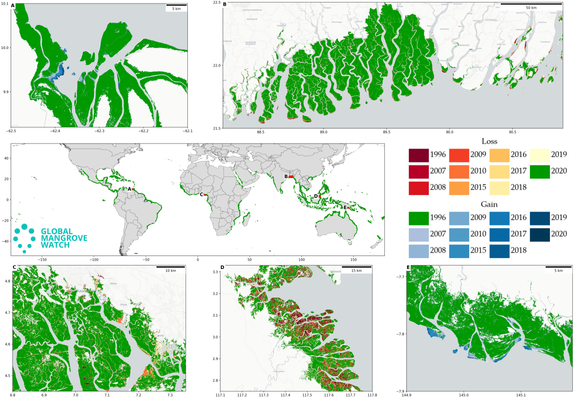 maps - paper - graphical abstract - Global Mangrove Extent Change 1996–2020: Global Mangrove Watch Version 3.0