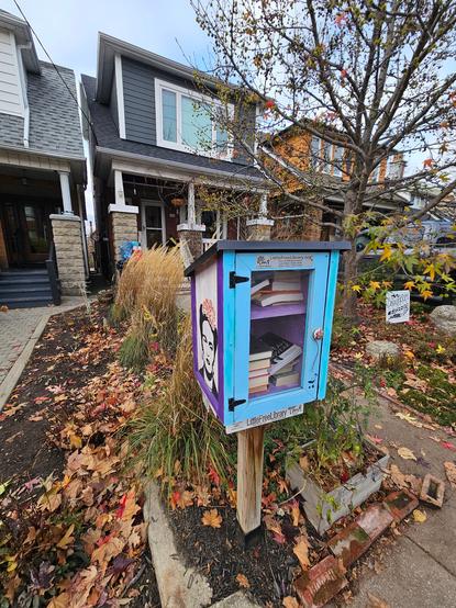 Little Library