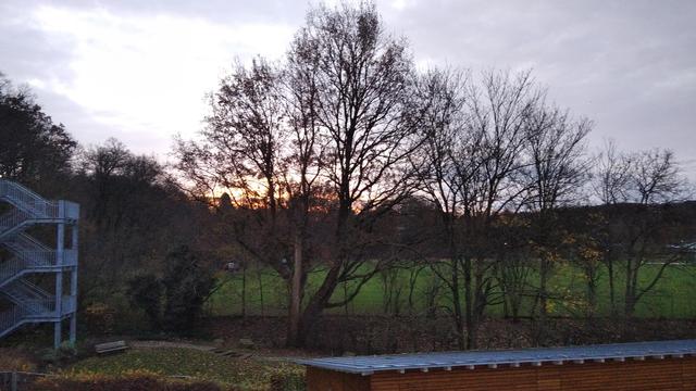 Bild zeigt Sonnenaufgang am Schölerberg in Osnabrück