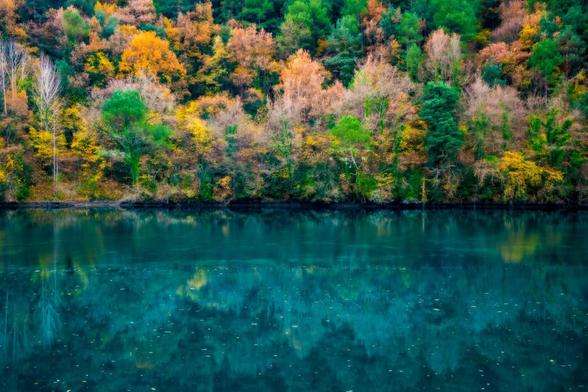 At the top you can see a forest of trees with autumn colours. In the lower half, you can see a reflection in jade-coloured water.