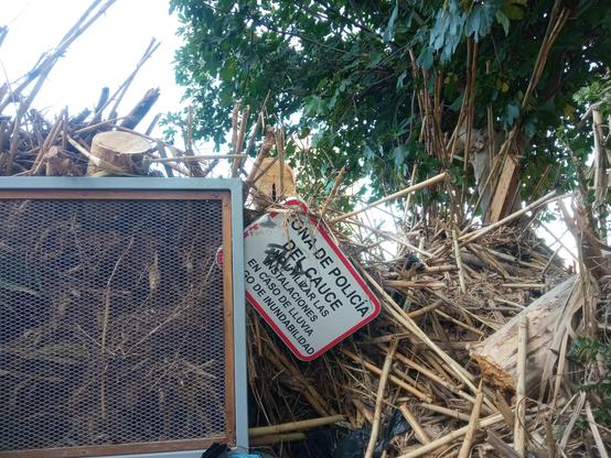 Imagen que muestra, a causa de la crecida del río Túria, un taponamiento de cañas, troncos y otros restos vegetales y de residuos entre los que se encuentra una señal que indica: Zona de policia del cauce. No utilizar las instalaciones en cado de lluvia. Riesgo de inundabilidad.