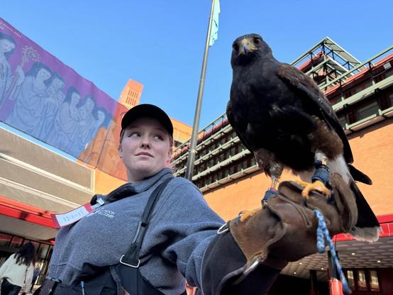 Beautiful blue sky outside the British Library in London, shot from below. In the foreground is the owner and at her wrist, looking down towards the camera, is her Harris Hawk.