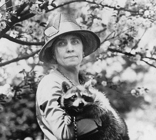 First Lady Grace Coolidge holding Rebecca, the raccoon she and her family kept as a pet