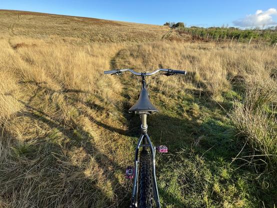 View from behind mtb handlebars along a grassy track.