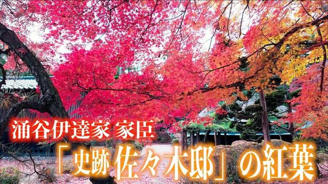 「涌谷町指定文化財 佐々木邸庭園の紅葉」- 宮城県涌谷町 - 2024/11/24