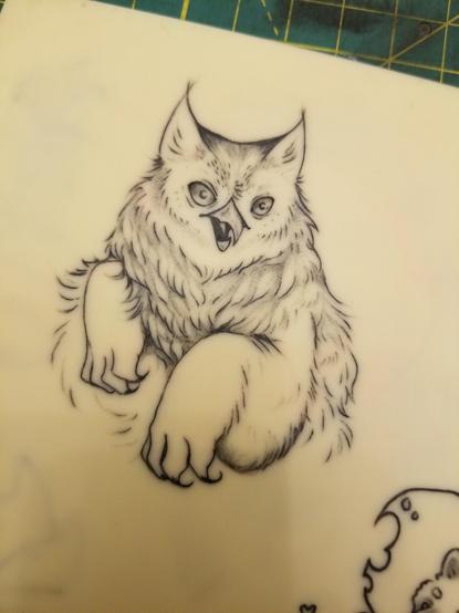 Another of the same, but taken at a different angle