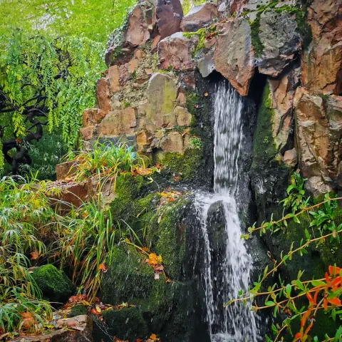 Ein kleiner Wasserfall fließt über moosbewachsene Felsen in ein ruhiges Becken. Umgeben von dichtem Grün und Herbstlaub.