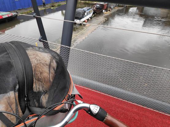 A view from a bridge, taken from a bicycle with a puppy in the front basket, showing a narrow boat slip that used to be a maintenance area in Brentford Docks.  The water is exactly up to the level of the pavement, showing only the tiniest surface at the moorings of some boats.
