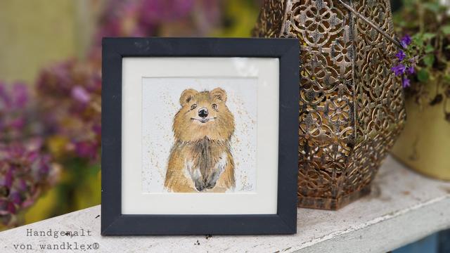 Kleines gerahmtes Bild mit dem Motiv Quokka