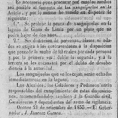 Na imaxe aparece unha captura da normativa que establece a prohibición da captura de sambesugas na lagoa de Antela desde o ano 1855