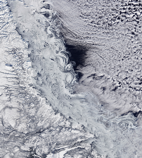 This satellite image shows sea ice off the Labrador coast, on the same day in February 2024.