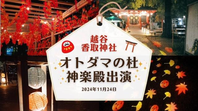 2024年11月24日：神社出演「オトダマの杜」出演映像･*..☽.｡.:*：2024年11月19日＠越谷香取神社