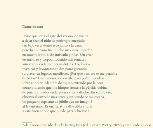 DAME DE ESTO

Pensé que sería el gato del vecino, de vuelta
a dejar seco el nido de petirrojos encajado
tan bajo en el denso seto junto a la casa,
pero lo que vino fue mucho más raro: liquidez
en movimiento, todo músculo y púas. Un erizo
escurridizo y torpón, robando mis tomates
aún verdes en la sombra matutina. Lo observé
masticar y levantarse en dos patas gozando
su placer en jugosos mordiscos. ¿Por qué a mí no se me permite
disfrutar? Un desconocido escribe para pedir mis ideas
sobre el dolor. Alambre de espino extraido por la boca,
como pidiendo que me hinque frente a la pérfida bobina 
de pinchos usados en la guerra y los vallados. En vez de eso,
observo al erizo de más cerca y un sonido se me escapa,
un pequeño espasmo de júbilo que no imaginé
al levantarme. Es una criatura divertida y seria,
y está haciendo lo que puede para sobrevivir.

_______
Ada Limón, tomado de The hurting kind (ed. Corsair Poetry, 2022) y traducido en casa.