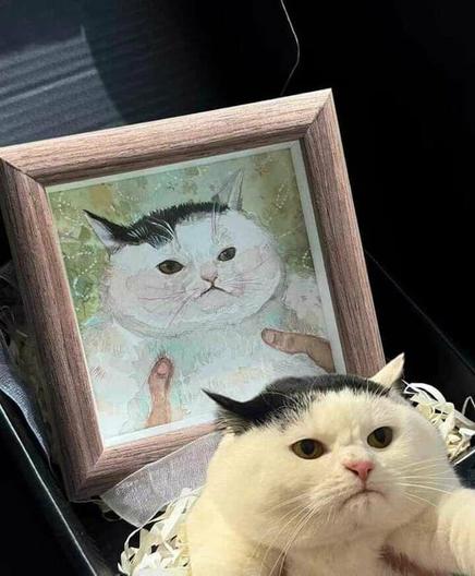 Not too happy face cat!

(Image of a painting of a cat with the cat below)