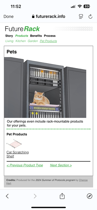 A cat in a 19" rack