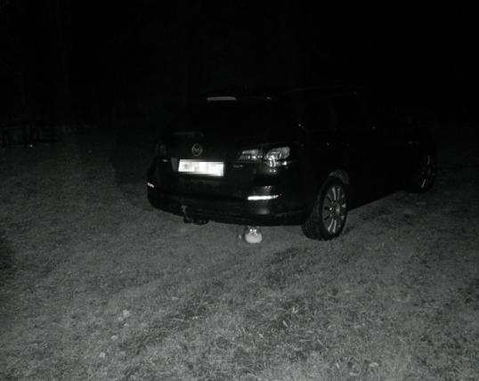 Nightvision photo of a car with a white and grey cat sitting under it, paws tucked in to minimize heat loss. Its transflective eyes glow in the IR light.
