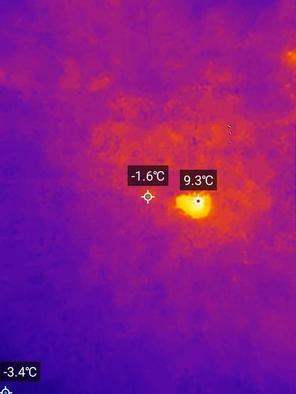 Thermal camera photo of the same. The car does not show up as it hasn't been used and is at ambient temperature, but there's a warm red cat-shaped blob under the car. The camera has labeled it as a 9.3°C hotspot.