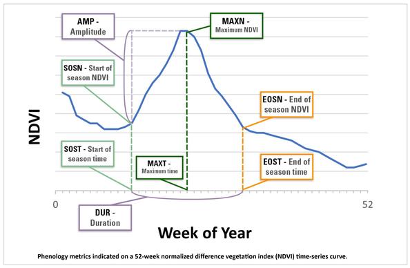 graphic / chart - Phenology metrics indicated on a 52-week normalized difference vegetation index (NDVI) time-series curve.