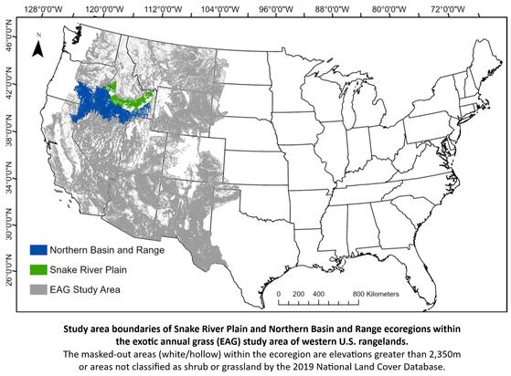 map - Study area boundaries of Snake River Plain and Northern Basin and Range ecoregions within the exotic annual grass (EAG) study area of western U.S. rangelands. The masked-out areas (white/hollow) within the ecoregion are elevations greater than 2350 m or areas not classified as shrub or grassland by the 2019 National Land Cover Database.