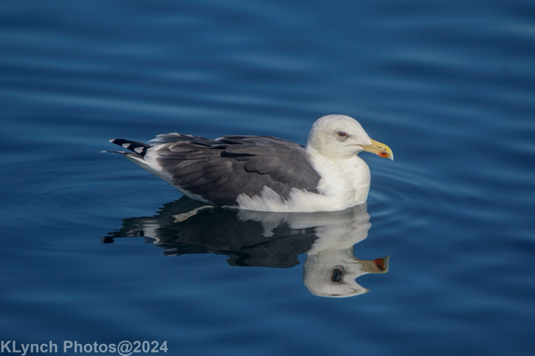 Getting reflective
