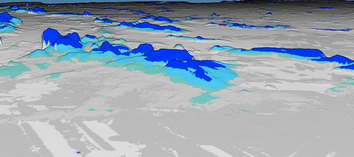 A sea ice digital terrain model derived from drone images. Parts considered 'level ice' are gray/white, colours identify ridges and deformed regions.